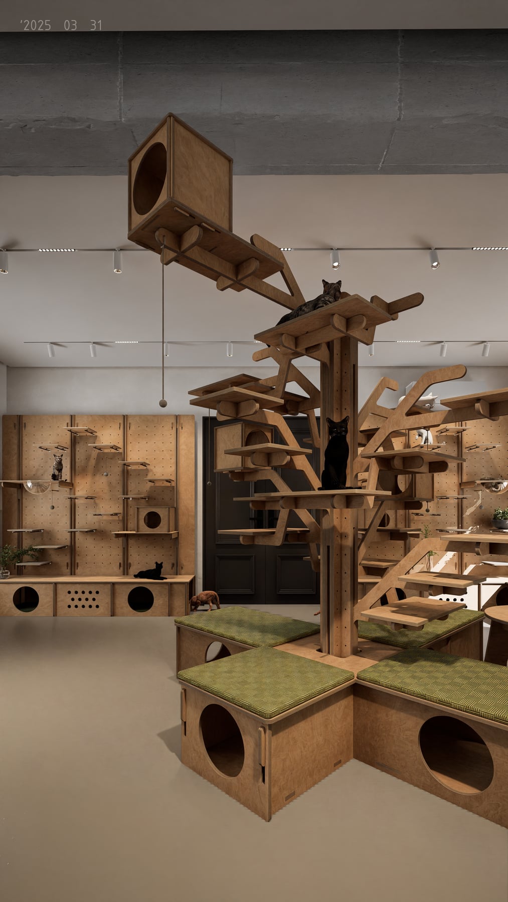 Cat House